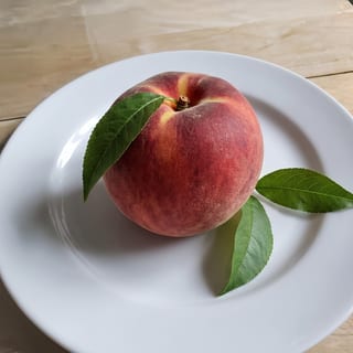 Peaches