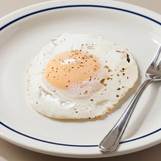 Egg (1)